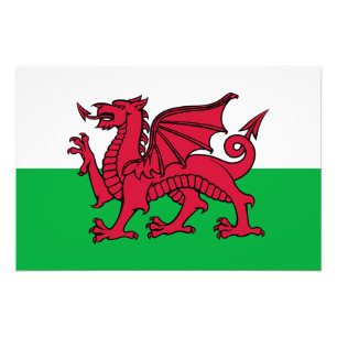 Rode Draak Keltische Vlag van Wales & Welsh Foto Afdruk