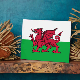 Rode Draak Keltische Vlag van Wales & Welsh Fotoplaat