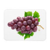 Rode druiven magneet (Horizontaal)