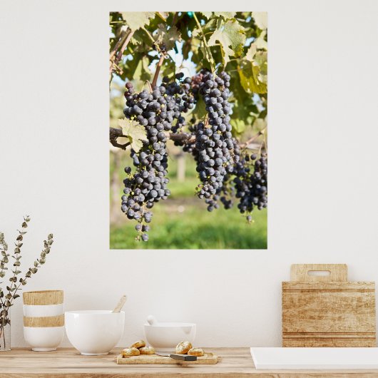 Rode druiven op de wijn poster (Keuken)