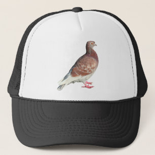 Rode duif (geïsoleerd) trucker pet