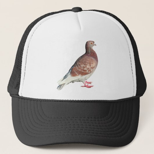 Rode duif (geïsoleerd) trucker pet (Voorkant)