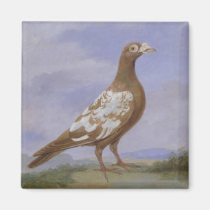 Rode duif (olie op doek) magneet