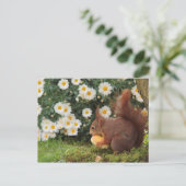 Rode eekhoorn briefkaart (Staand voorkant)