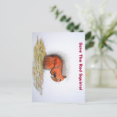 Rode eekhoorn briefkaart (Staand voorkant)