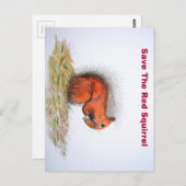 Rode eekhoorn briefkaart (Voorkant / Achterkant)