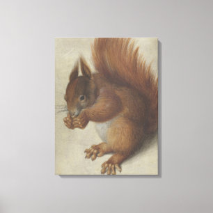 Rode Eekhoorn (door Hans Hoffmann) Canvas Afdruk