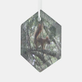 Rode eekhoorn Glass Hexagon Glas Ornament (Voorkant links)