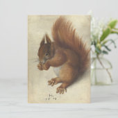 Rode eekhoorn | Hans Hoffmann (Staand voorkant)