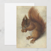 Rode eekhoorn | Hans Hoffmann (Voorkant / Achterkant)