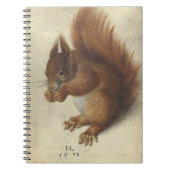 Rode eekhoorn | Hans Hoffmann Notitieboek (Voorkant)