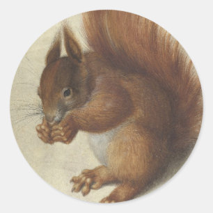 Rode eekhoorn Hans Hoffmann Ronde Sticker