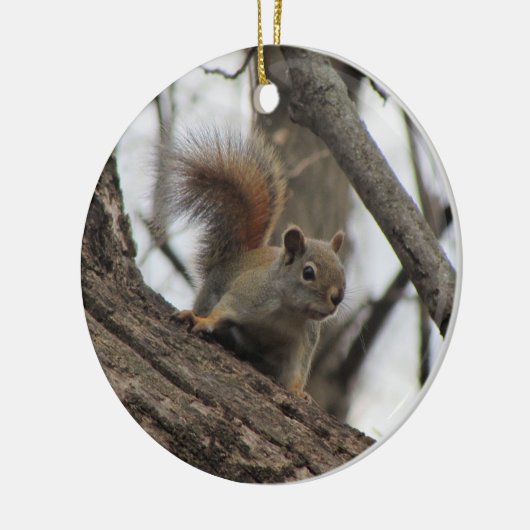 Rode eekhoorn keramisch ornament (Links)