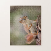 Rode eekhoorn legpuzzel (Verticaal)