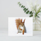 Rode eekhoorn op sneeuw briefkaart (Staand voorkant)