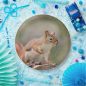 Rode eekhoorn papieren bordje (Feest)