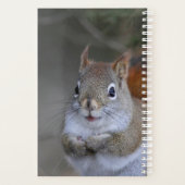 Rode eekhoorn planner (Achterkant)