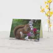 Rode eekhoorn verjaardag kaart (Gele Bloem)