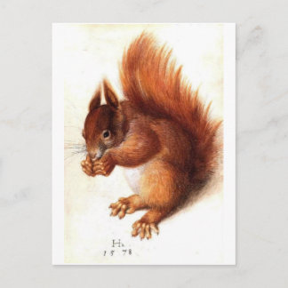 rode eekhoorn Zoologische illustratie Briefkaart