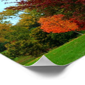 Rode eikenboom in het najaar poster (Hoek)