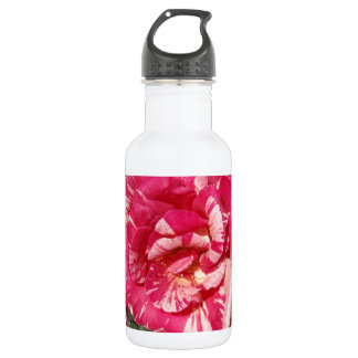 Rode en Crème Roos Waterfles