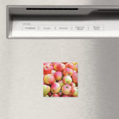 Rode en gele appels printmagneet magneet (Insitu (Vaatwasser))