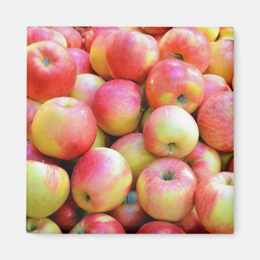 Rode en gele appels printmagneet magneet (Voorkant)