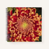 Rode en gele chrysant bloemen notitieboek (Voorkant)