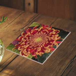 Rode en Gele Chrysanthemum Bloemen Tegeltje