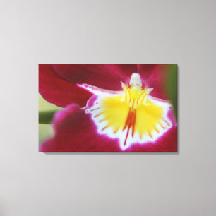 Rode en gele orchidee canvas afdruk
