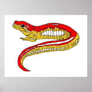 Rode en gele salamander poster