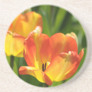 Rode en gele tulpen in de lentetuin zandsteen onderzetter