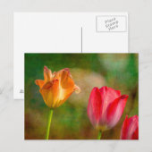 Rode en gele tulpen op getextureerde achtergrond briefkaart (Voorkant / Achterkant)