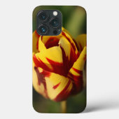 Rode en gele Tulpventilator Case-Mate iPhone Case (Achterkant)