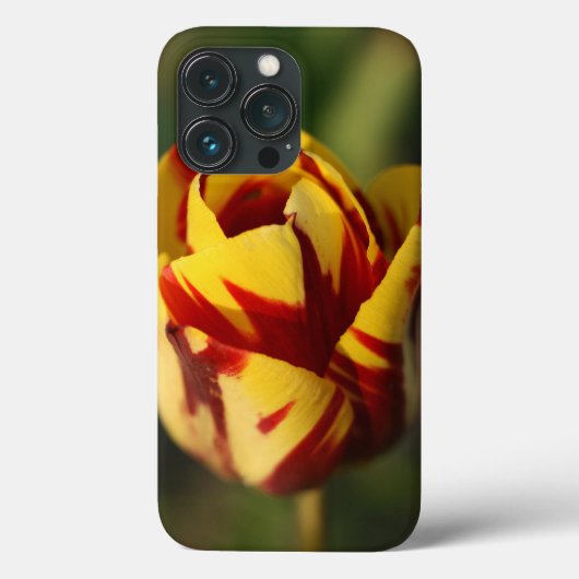 Rode en gele Tulpventilator Case-Mate iPhone Case (Achterkant)