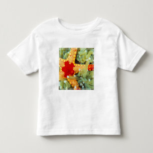 Rode En Gele Zeester Kinder Shirts