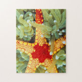 Rode en gele zeester legpuzzel (Verticaal)