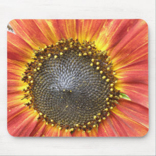 Rode en gele zonnebloemen Mousepad Muismat