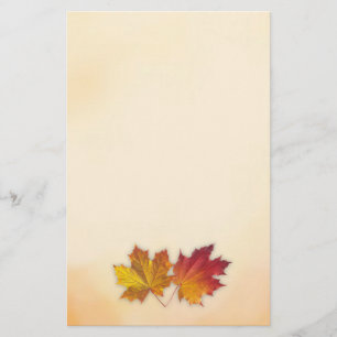 Rode en gouden esdoorn herfstbladeren Stationery Briefpapier