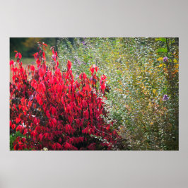 Rode en groene bladeren poster