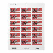 Rode en groene kerstlabels voor vogels etiket (Full Sheet)