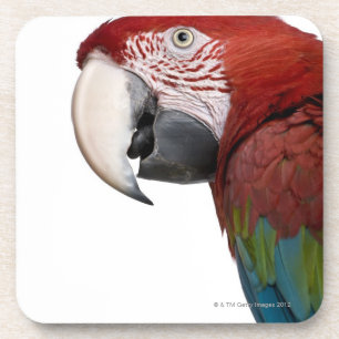 Rode en groene Macaw - Ara chloropterus Drankjes Onderzetter