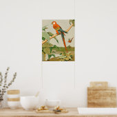 Rode en groene Macaw Oerwoud Parrot Poster (Keuken)