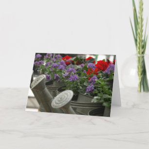 rode en paarse bloemen in gieters kaart