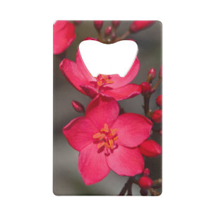 Rode en roze tropische Fiji Flowers Kredietkaart Flessenopener