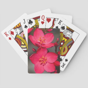 Rode en roze tropische Fiji Flowers Pokerkaarten