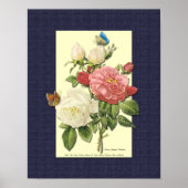 Rode en witte botanische Rozen op blauw Poster (Voorkant)