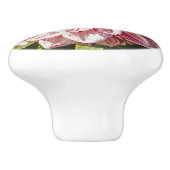 RODE EN WITTE DAHLIA KERAMISCHE KNOP (Zijkant)