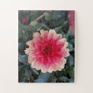 Rode en Witte Dahlia met Vlekken Legpuzzel