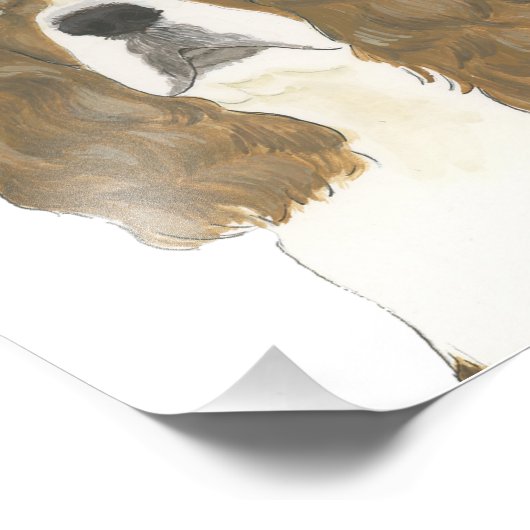 Rode en Witte Engelse Springer Spaniel Kunst Foto Afdruk (Hoek)